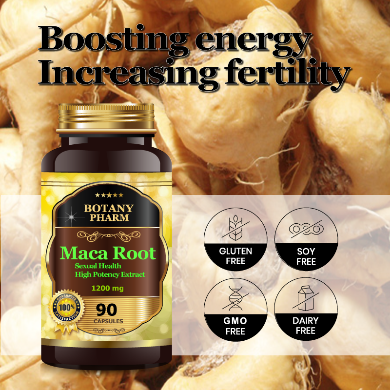 Maca Root Extract