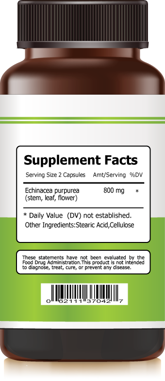 Echinacea