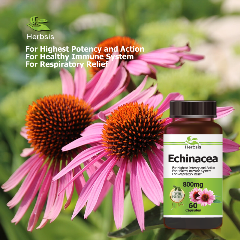 Echinacea