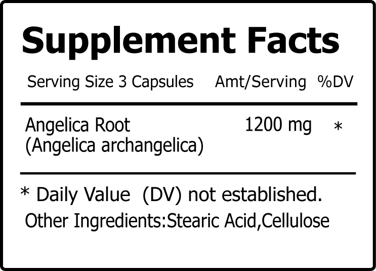 Angelica Root