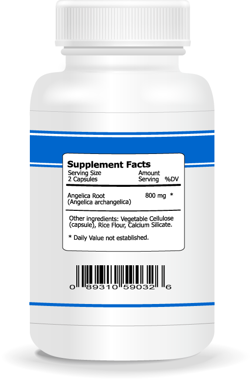 Angelica Root