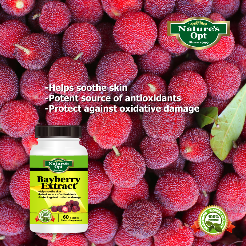 Bayberry Extract