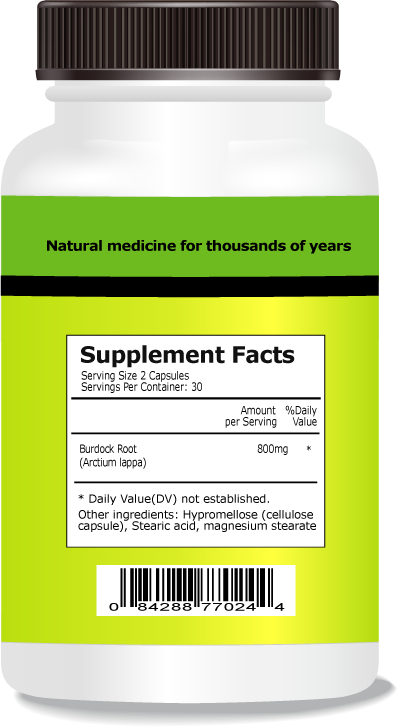 Burdock Root Extract