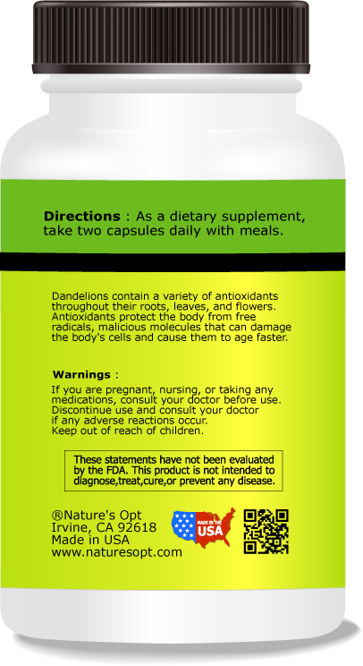 Dandelion Root