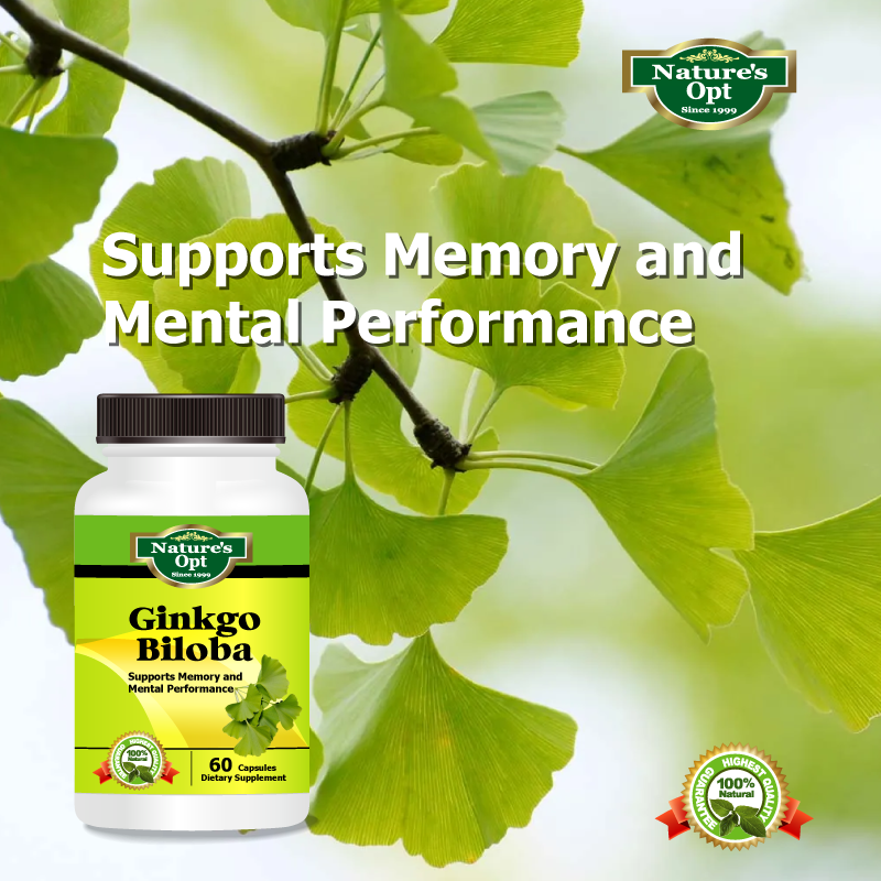 Ginkgo Biloba