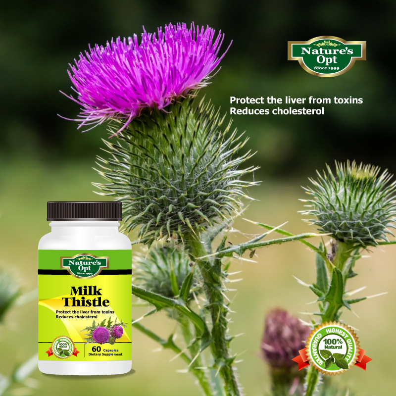 Milk Thistle Extract