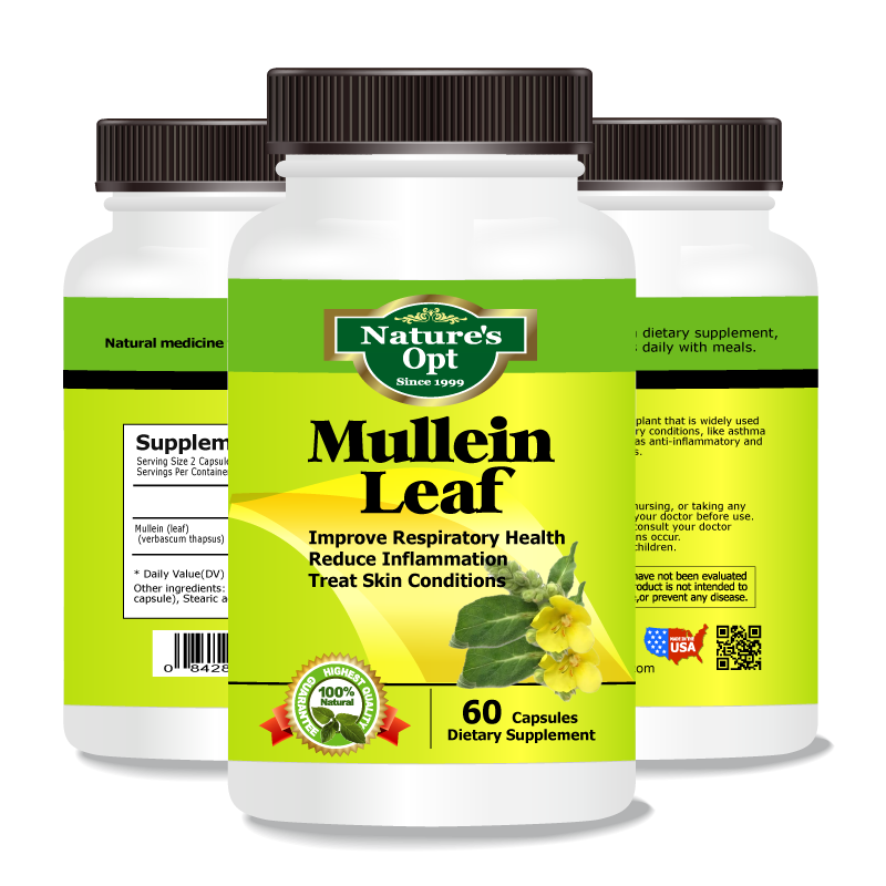 Mullein Leaf