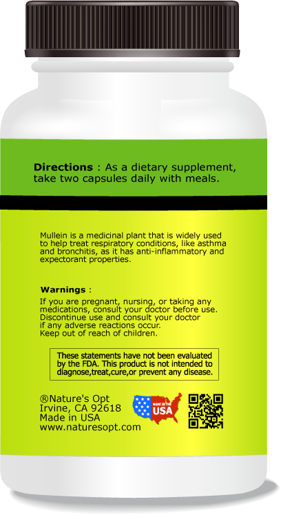 Mullein Leaf