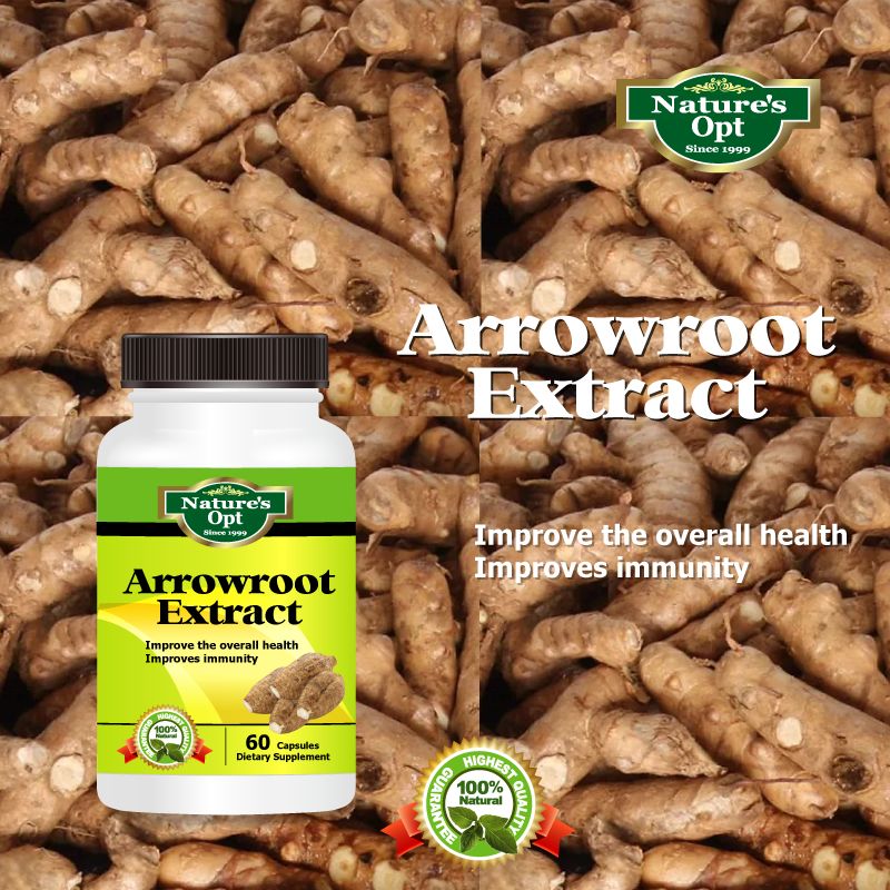Arrowroot Extract