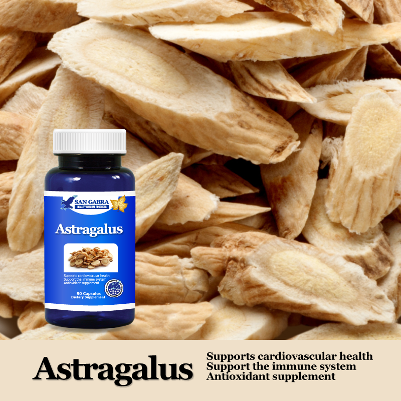 Astragalus