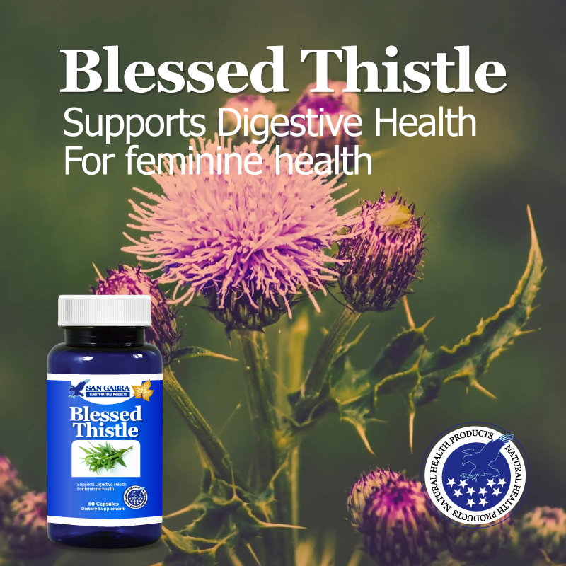 Blessed Thistle