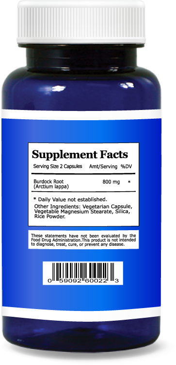 Burdock Root Extract