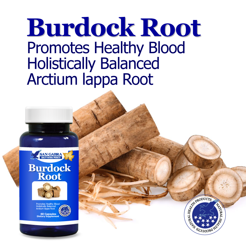 Burdock Root Extract