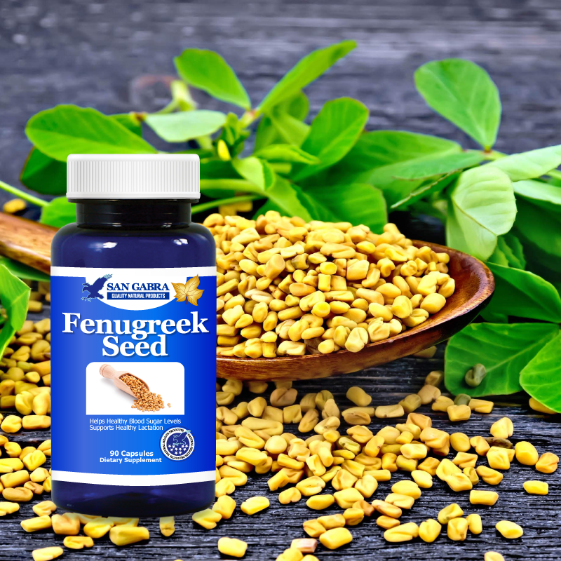 Fenugreek Seed