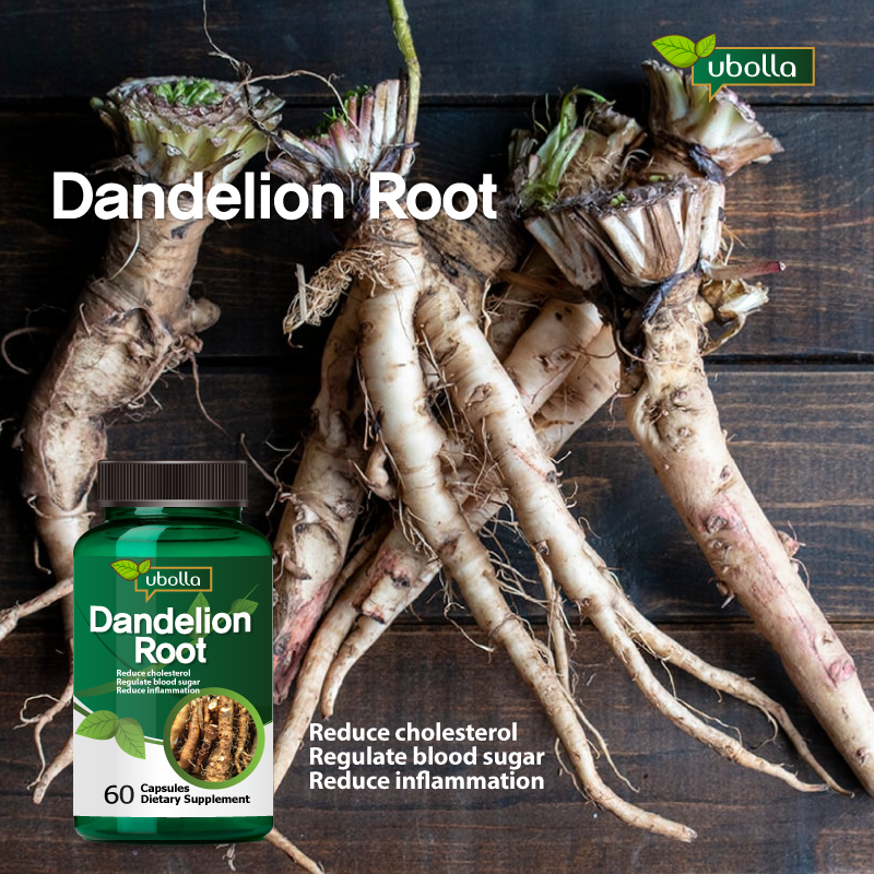 Dandelion Root