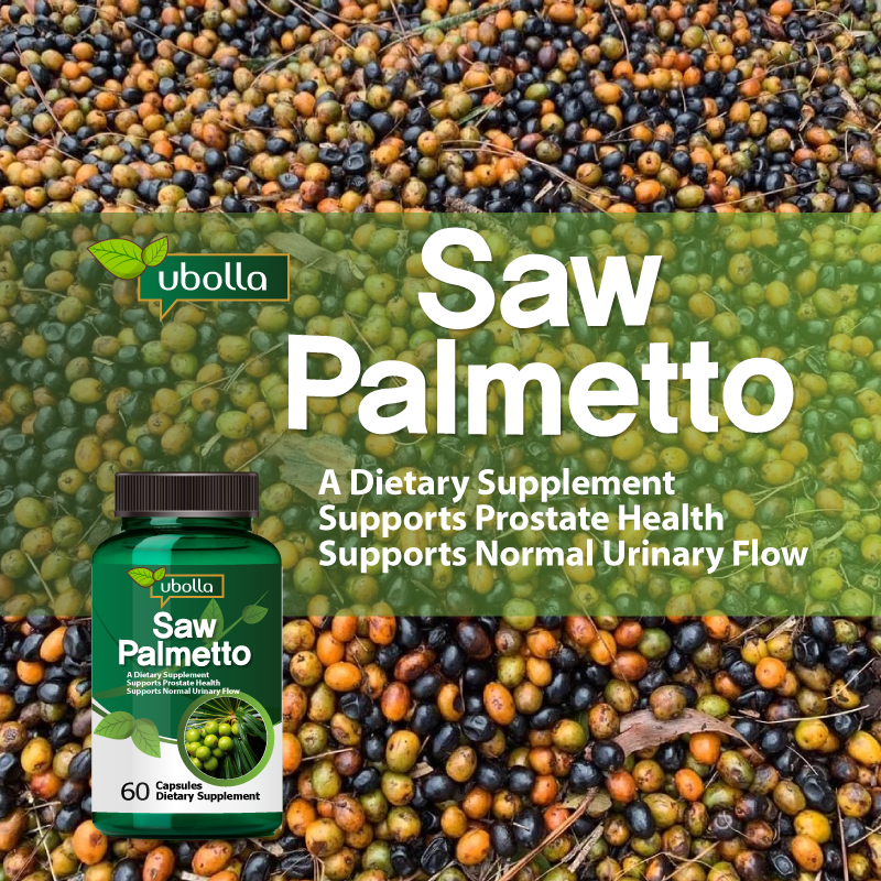 Saw Palmetto