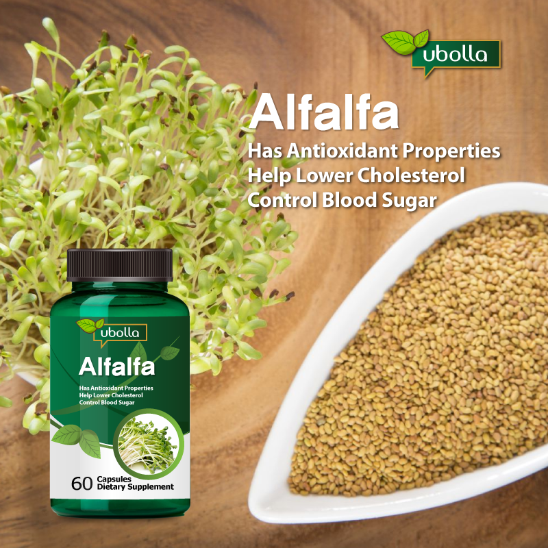 Alfalfa Extract