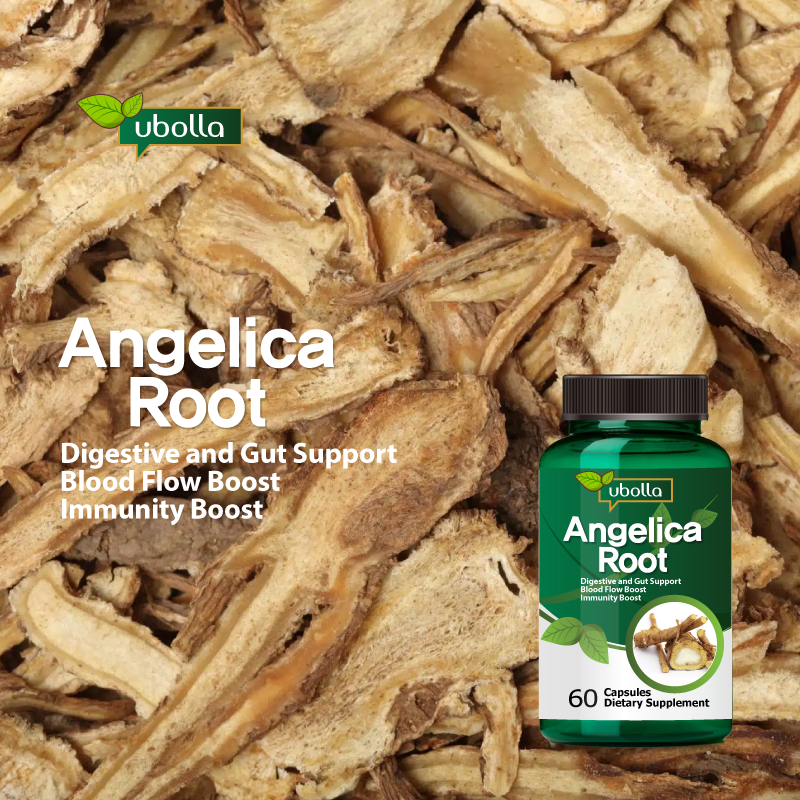 Angelica Root